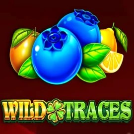 Wild Traces slot visual from Amusnet Interactive available on posidokazino.com